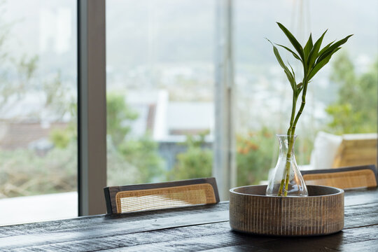 Minimalist dining table with bamboo plant in glass vase by large window, at home, copy space