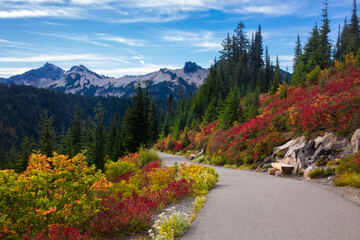 A paved path is surrounded by lush, vibrant fall foliage with the Tatoosh mountain range in the background at Mt. Rainier National Park in Washington state
