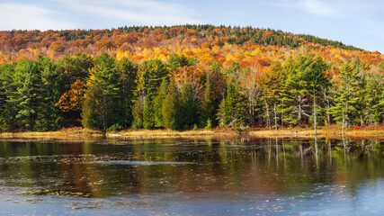 Maine Acadia National Park Carriage Trail in Fall Landscape