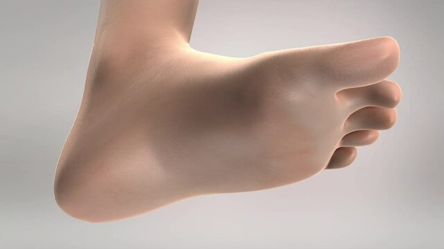 Peripheral Neuropathy Pins Needles Foot Animation