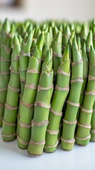 Obraz premium Close-Up of Bamboo Shoots