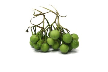 A cluster of small, round, green fruits, commonly known as turkey berries or mini-eggplants, is shown against a white background.