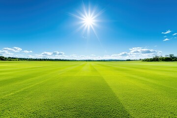 Vibrant green grass field under a clear blue sky with bright sun, creating a serene outdoor scene.