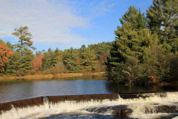 Fall landscape with forest and waterfaller landscape