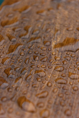 Close up of a stained and sealed waterproof wooden board covered in water drops