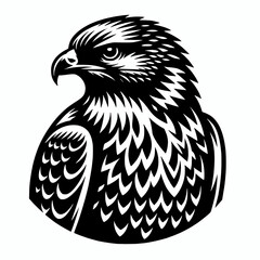 Obraz premium Buteo hawk bird head symbol emblem icon vector illustration, bird of prey avian animal element