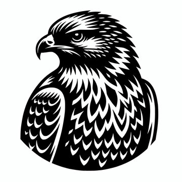 recommend clip art: Buteo hawk bird head symbol emblem icon vector illustration, bird of prey avian animal element