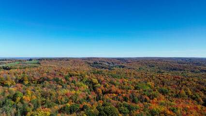 Drone photograph of Autumn in Western New York