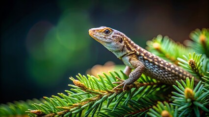 Fototapeta premium A Small Lizard Perched on a Pine Branch, Its Scaly Skin Glistening in the Sun, With a Blurred Background of Lush Green Foliage