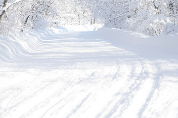 A snow covered road with a tree in the background
