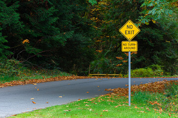 An image of a bright yellow no exit sign on a local country road in early autumn. 