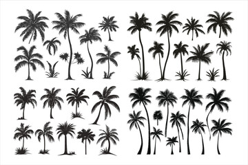 coconut tree silhouette vector illustration