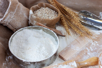 White wheat flour in a bowl with ears of barley, rice, natural agricultural food, top view