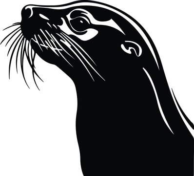 Black silhouette of California sea lion head