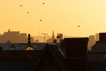 Naklejka premium Cityscape sunset silhouette with bird flying over.