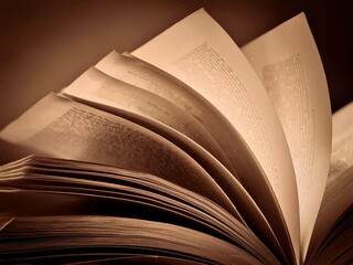 book with turning pages in sepia color scheme. education, litarature, wisdom illustrating purposes