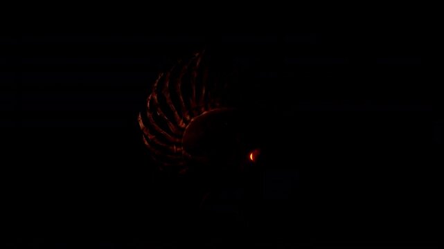 Punk Skeleton VJ Loop &ndash; stylized punk rock skeleton with spiky bones on the head and punkish outfit moving on the beat in seamless loop. Use it in your next VJ thematic sets, metal and gothic festival