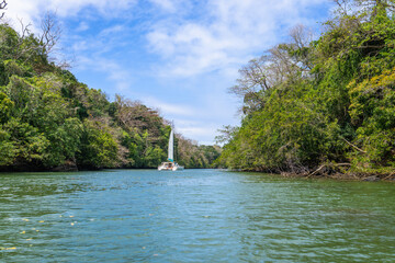 A serene catamaran is anchored in a tranquil lagoon at Ile aux Cerfs, Mauritius. Lush greenery lines the shore, creating a picturesque tropical setting. Ile aux Cerfs, Mauritius, Indian Ocean.