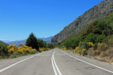 Grèce, environs du Monastère d'Osios Lukas