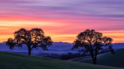 Obraz premium Two silhouetted trees stand on a grassy hill against a dramatic sunset sky with layers of mountains in the background.