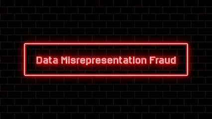 Data Misrepresentation Fraud のネオン文字