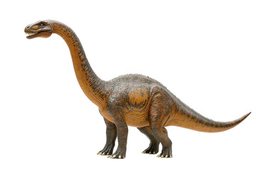 A standing Brachiosaurus, isolate on white background, showcasing its long neck and distinctive features. PNG