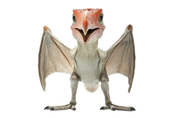 Obraz premium A standing Pteranodon, isolate on white background, showcasing its long wings and distinctive beak. PNG