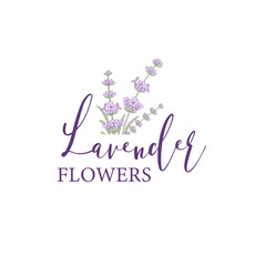 Lavender flower logo design. Elegant floral sumbol