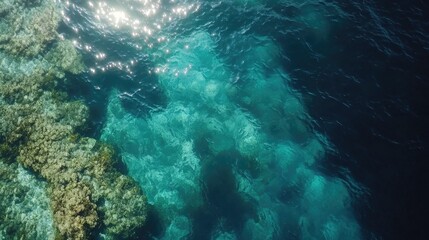 Fototapeta premium Aerial View of Tropical Blue Ocean with Coral Reefs