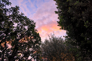 東京湾の朝焼け