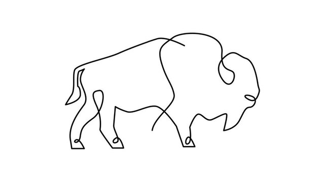 Bison line continuous single line simple illustration art