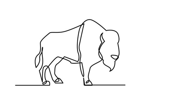 Bison line continuous single line simple illustration art