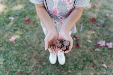 person holding acorns