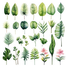 Tropical Foliage Collection - Vibrant Green Leaves and Plants