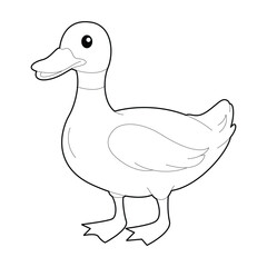 Duck Animal Coloring Page for Kids