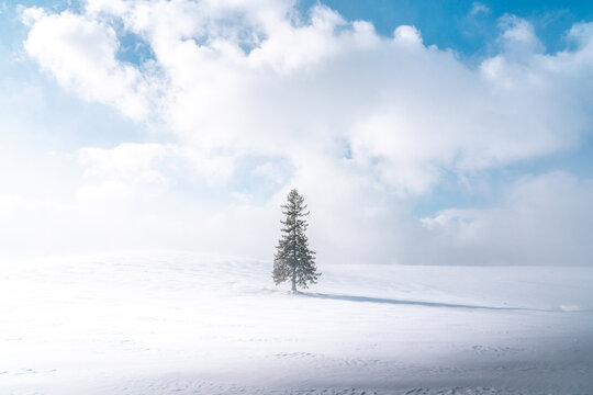 Winter travel snow scene in Biei, Hokkaido, Japan