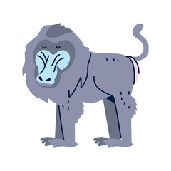 Vector image of monkey icon with white background