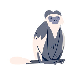 Vector image of monkey icon with white background