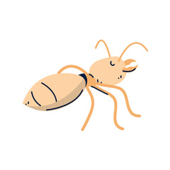 Vector image of ant icon with white background