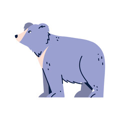 Vector image of bear icon with white background