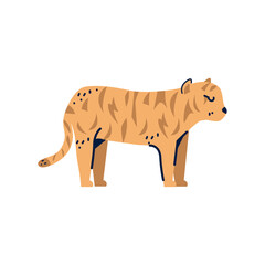 Tiger icon vector image with a white background