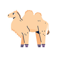 Camel vector image icon with white background