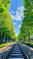 Fototapeta premium Lush Green Trees Along the Railway Tracks