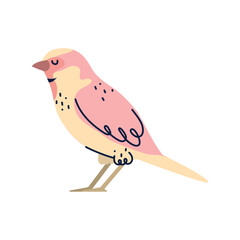 Bird vector image icon with white background
