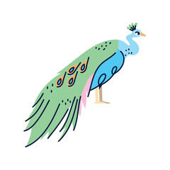 Elegant Cartoon Peacock Vector Illustration with Colorful Tail Feathers in Flat Style for Children's Designs, Educational Materials, and Exotic Animal-Themed Graphics