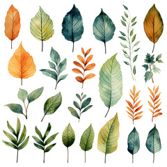 Obraz premium Autumn Leaves and Botanical Elements Collection