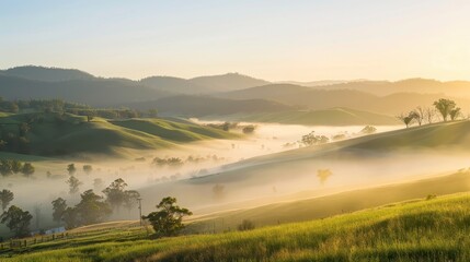Fototapeta premium Misty Rolling Hills at Sunrise