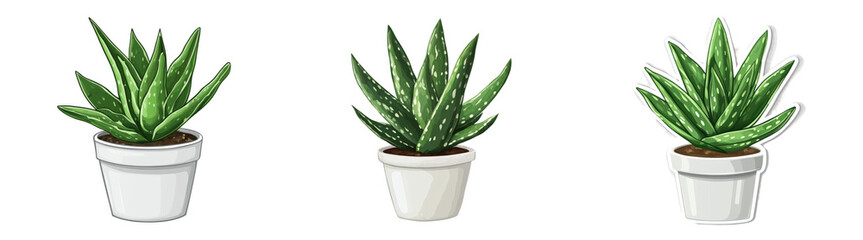 Fototapeta premium Realistic potted aloe vera plant illustration isolated on transparent PNG perfect for home decor or gardening-themed designs.