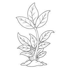 Line art of a seeding plant.  Seeding plant outline design for coloring page