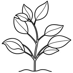 Line art of a seeding plant.  Seeding plant outline design for coloring page